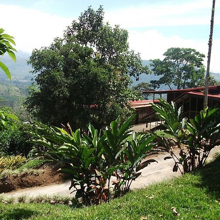 Green Mountain And Lodge Turrialba Exterior photo