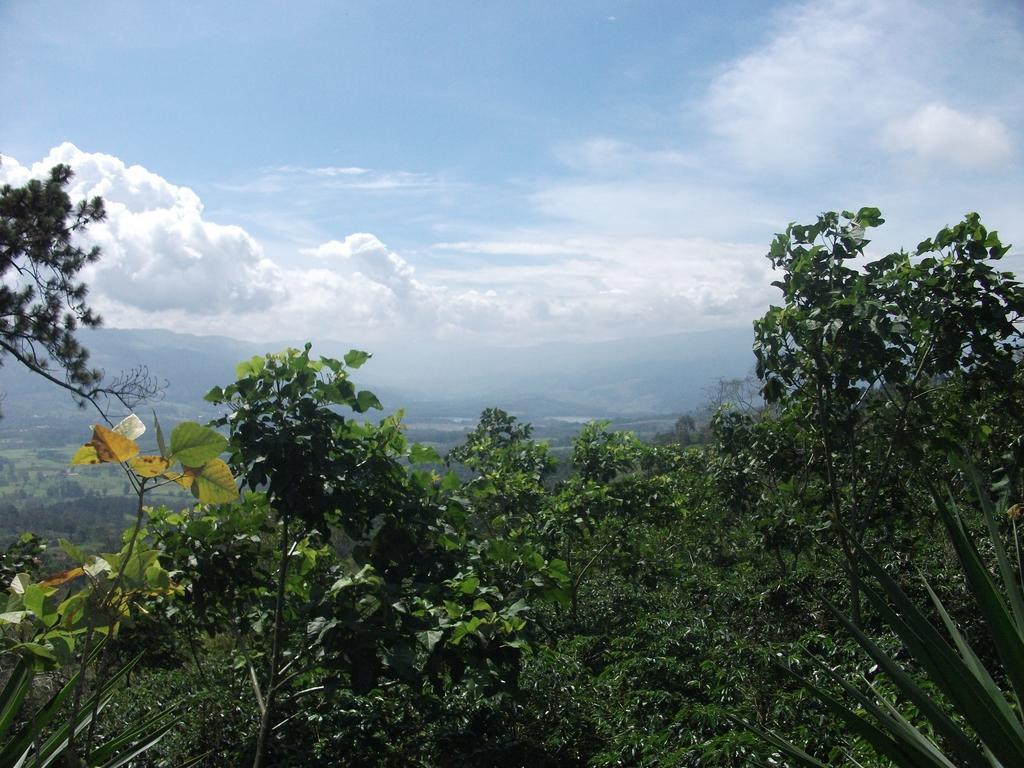 Green Mountain And Lodge Turrialba Exterior photo