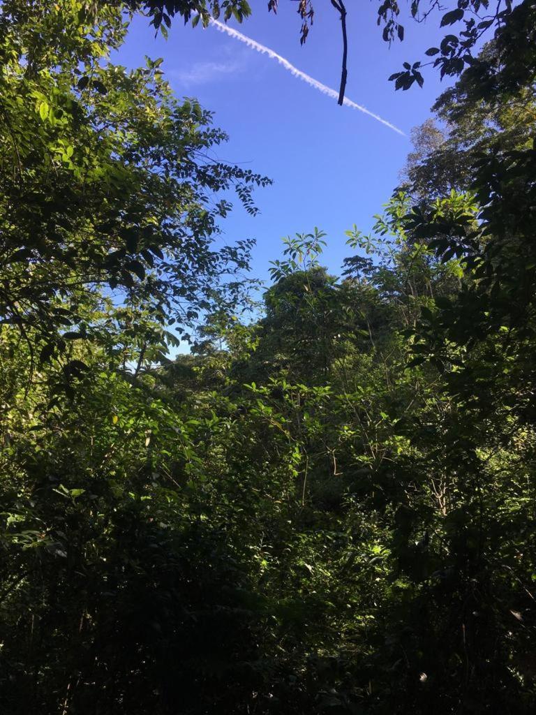 Green Mountain And Lodge Turrialba Exterior photo