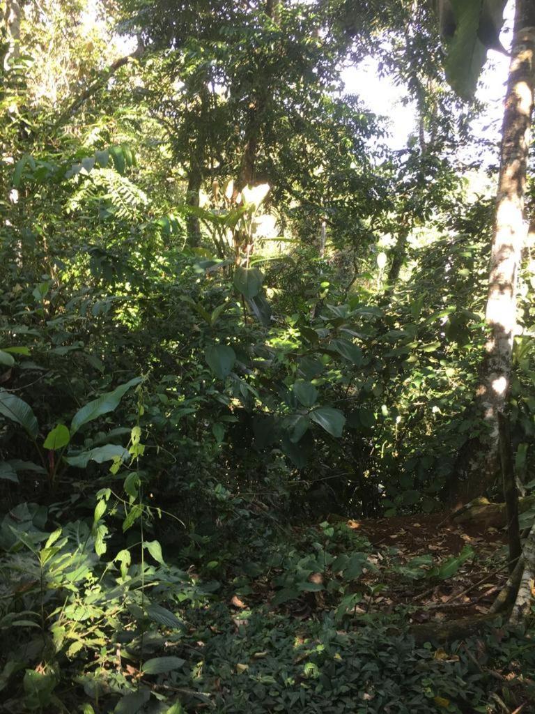 Green Mountain And Lodge Turrialba Exterior photo